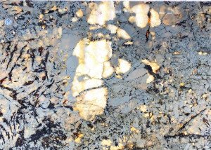 Patagonia Quartzite Slabs